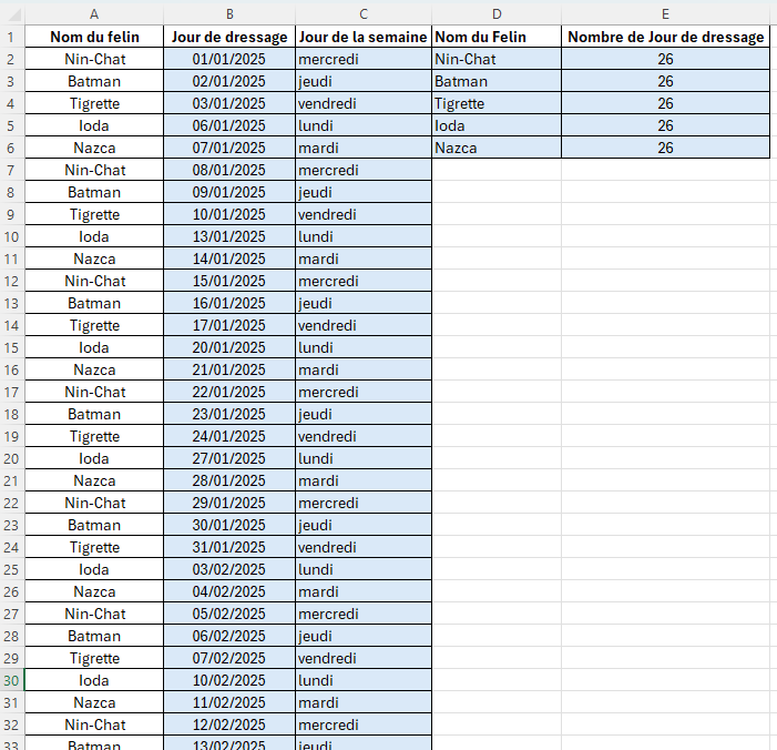 solution Exercice fonction JOURSEM dans Excel - Exercice 1