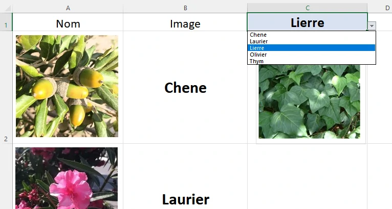 Exercice complet excel : création d'une fiche horticole avce liste déroulante lié à une image : etape 02