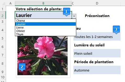 Exercice complet excel : création d'une fiche horticole avce liste déroulante lié à une image : solution