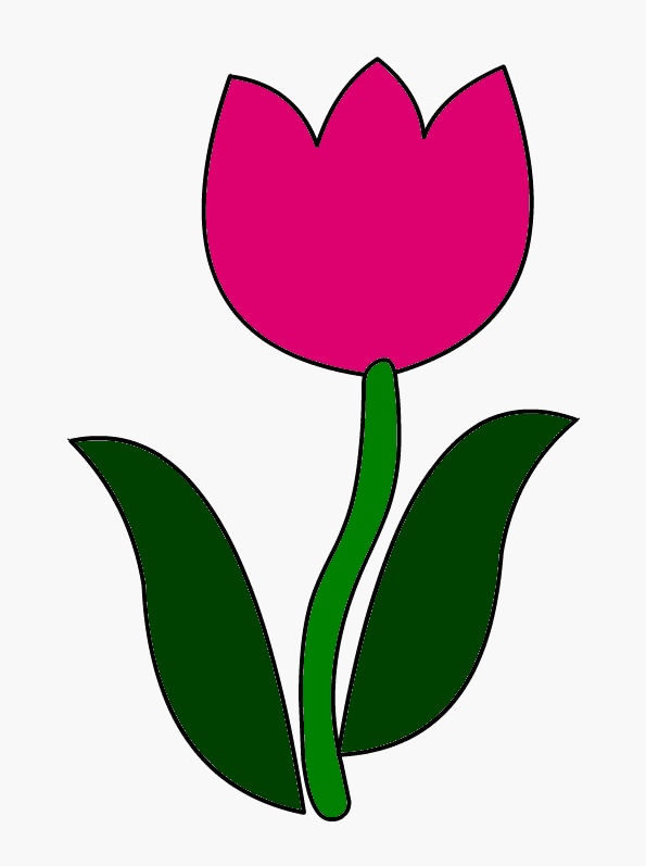 couleur tulipe